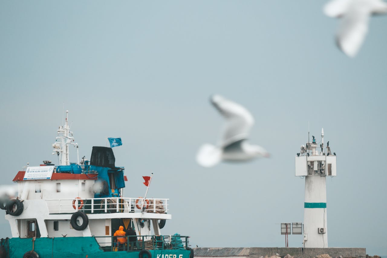 A boat sails past a lighthouse, with seagulls flying in a clear sky.
